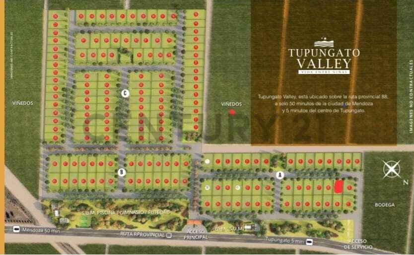 Terreno en Venta en Tupungato, Mendoza