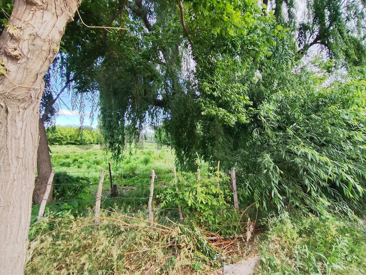 Terreno en Venta en Tupungato, Mendoza