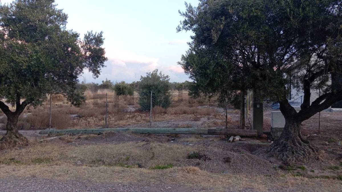 Terreno en Venta en Lujan de Cuyo, Mendoza