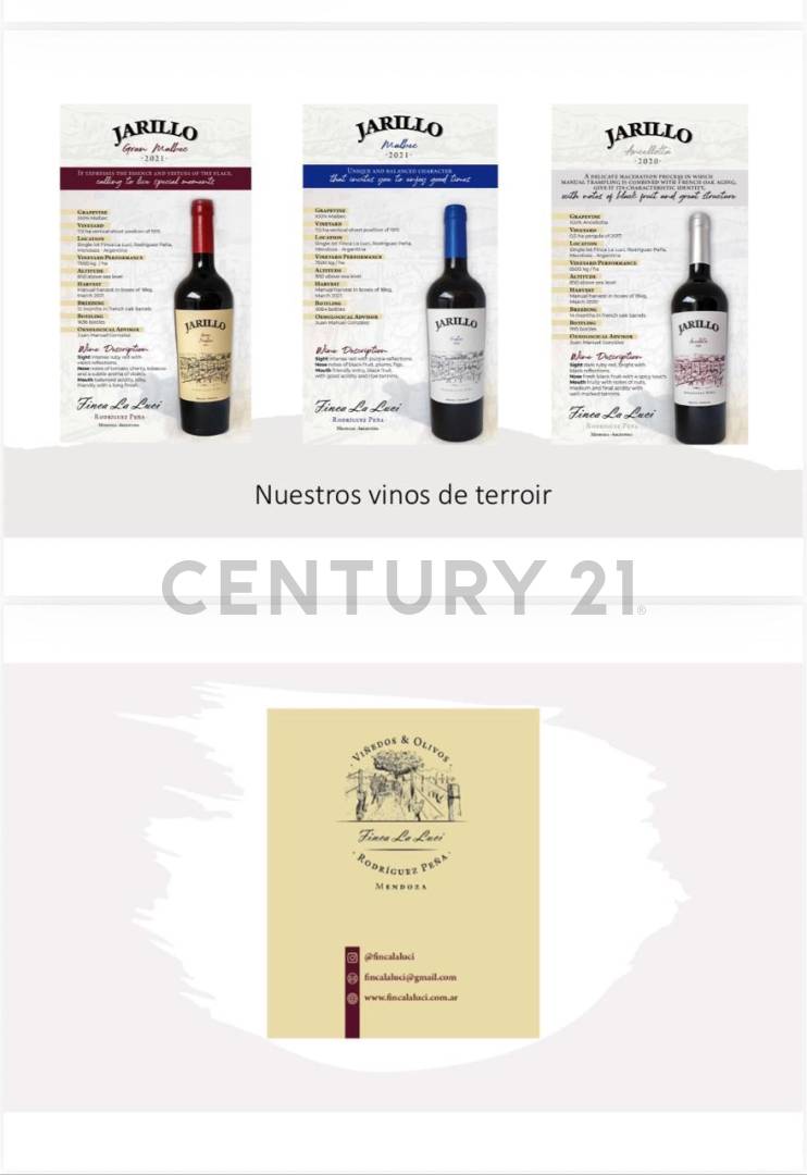 Campo en Venta en Junin, Mendoza