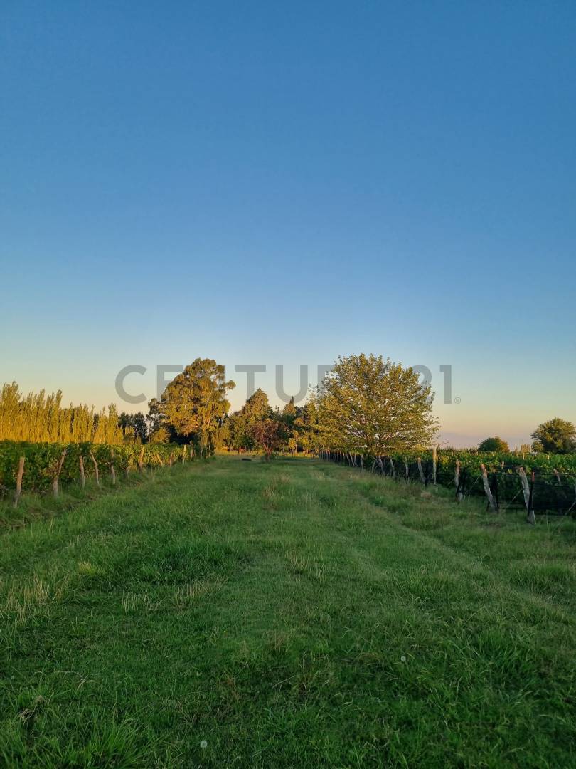 Casa Quinta en Venta en San Rafael, Mendoza