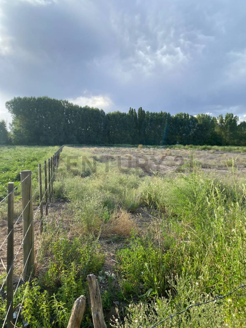 Terreno en Venta en Las Heras, Mendoza