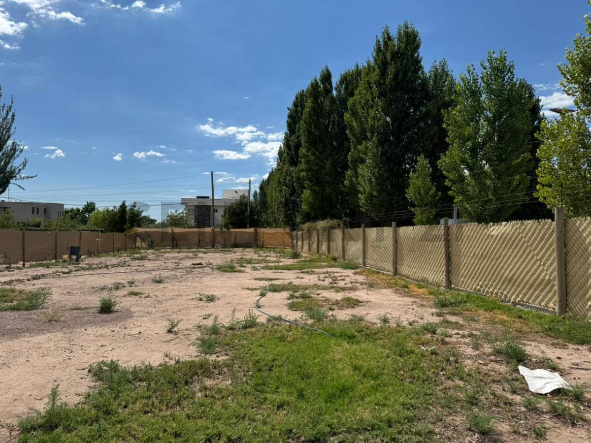 Terreno en Venta en Lujan de Cuyo, Mendoza