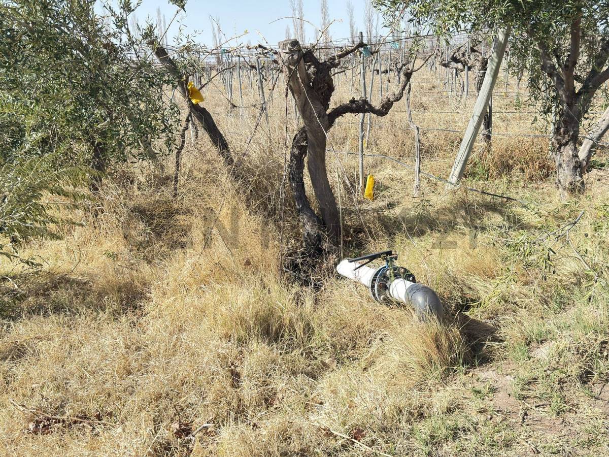 Terreno en Venta en Lavalle, Mendoza