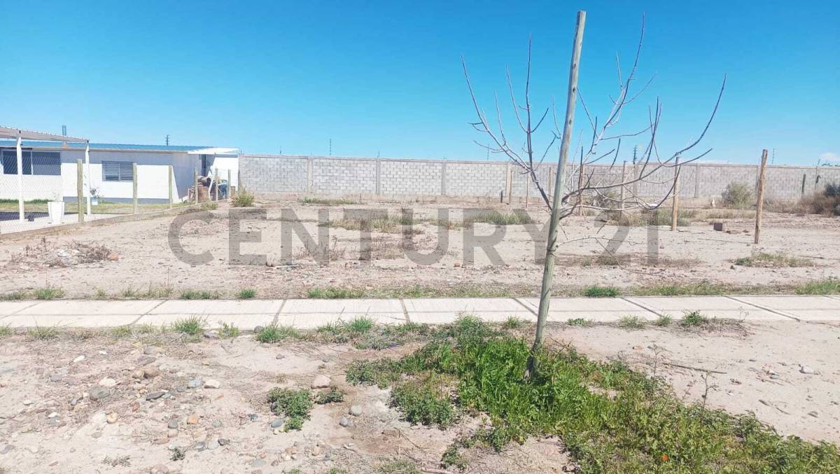 Terreno en Venta en Maipu, Mendoza