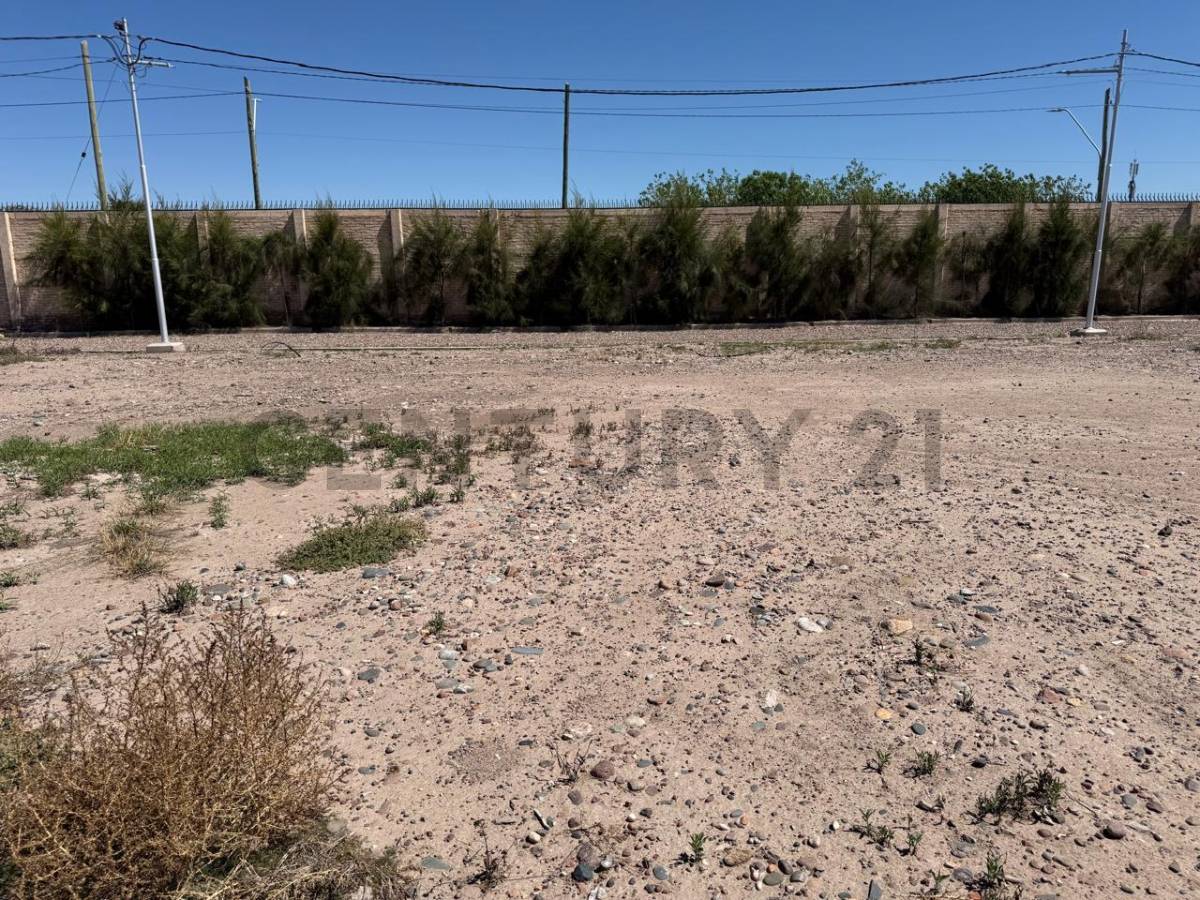 Terreno en Venta en Maipu, Mendoza