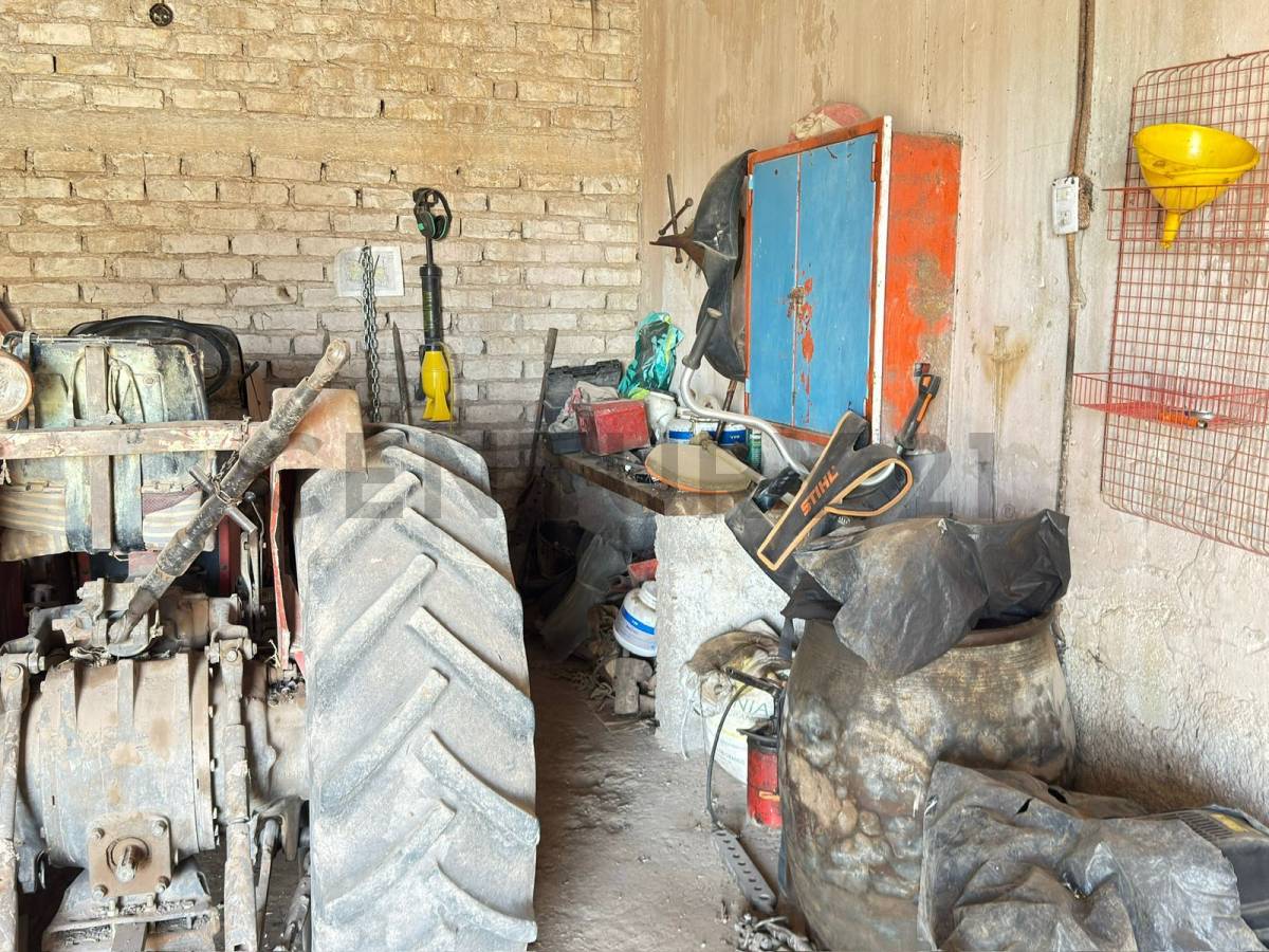 Terreno en Venta en Lavalle, Mendoza