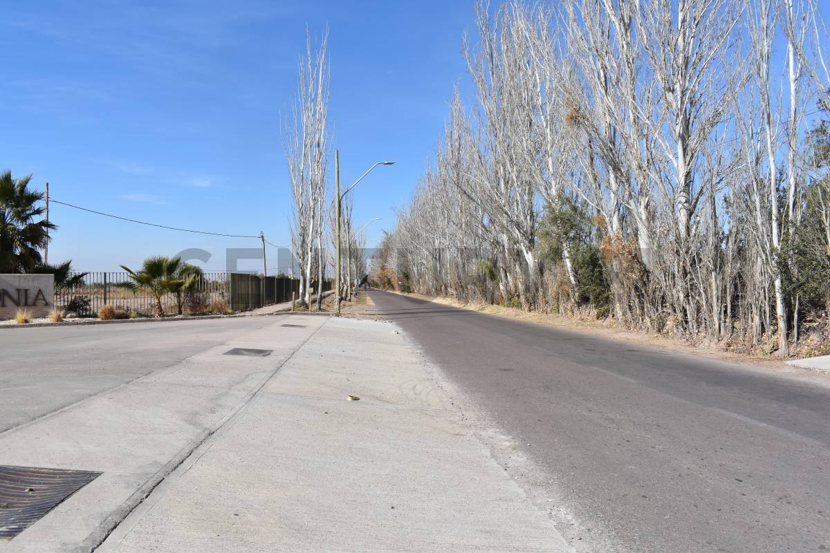 Terreno en Venta en Maipu, Mendoza