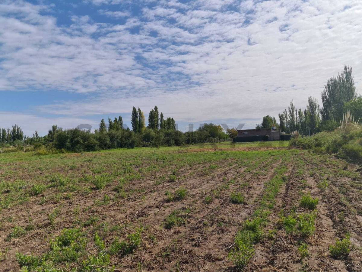 Terreno en Venta en San Rafael, Mendoza
