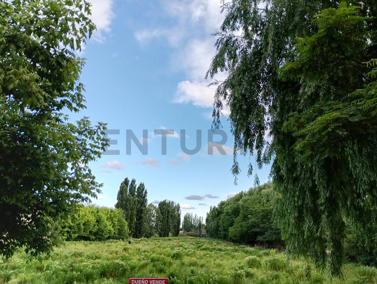 Terreno en Venta en Tupungato, Mendoza