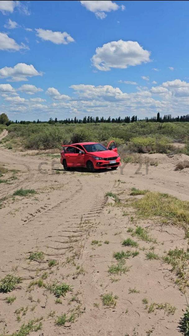 Campo en Venta en San Rafael, Mendoza
