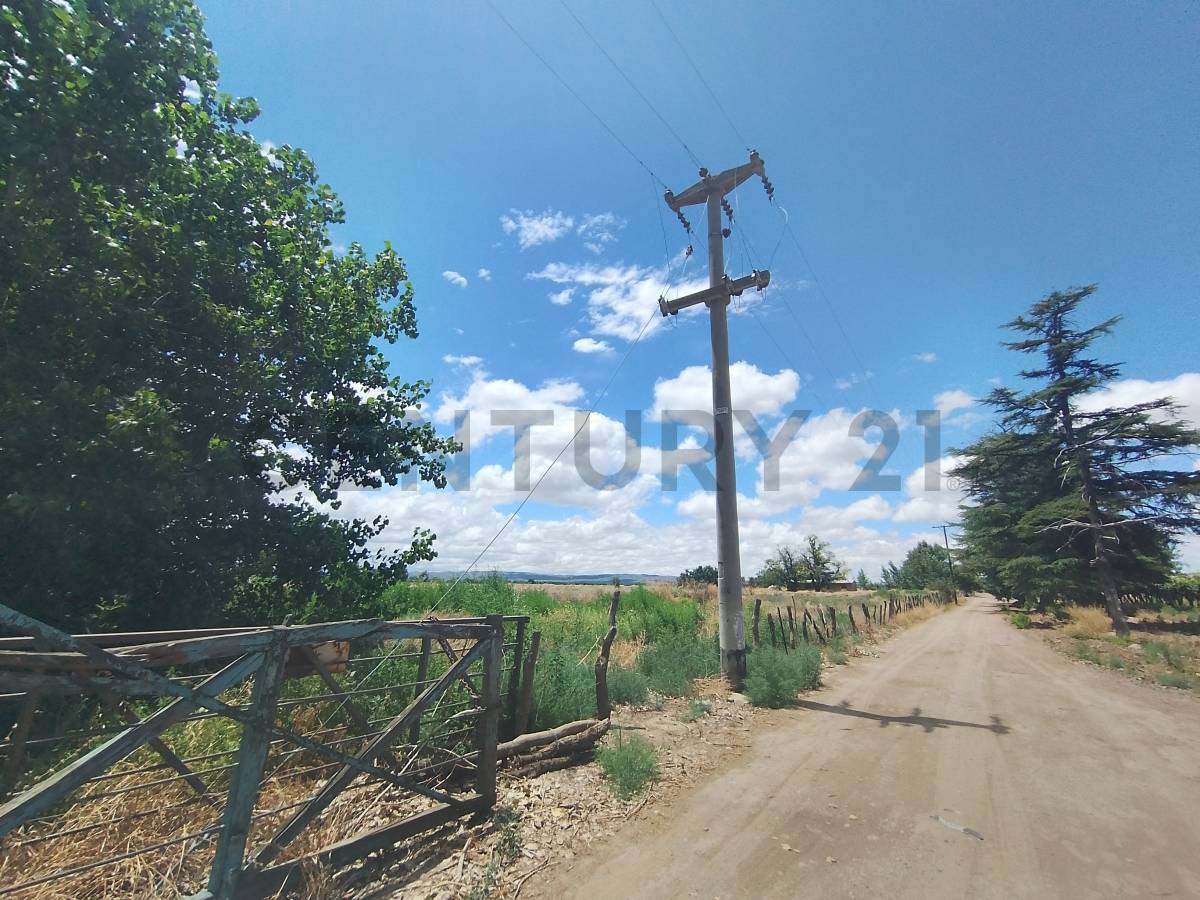 Casa Quinta en Venta en Tupungato, Mendoza