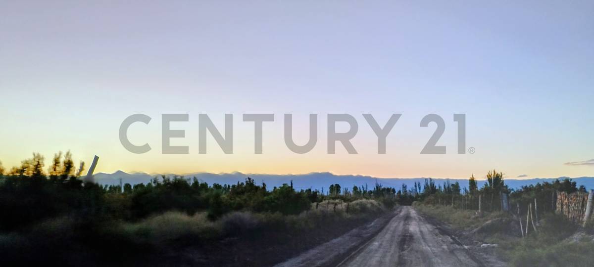 Casa Quinta en Venta en Lavalle, Mendoza