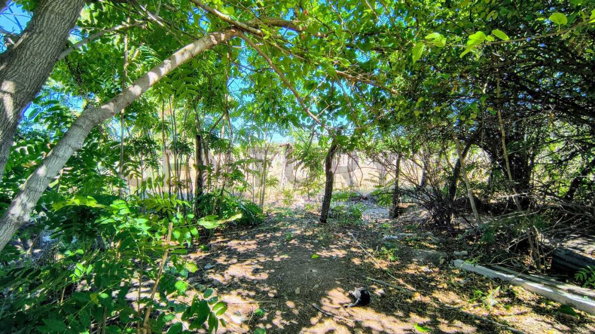 Campo en Venta en San Martin, Mendoza