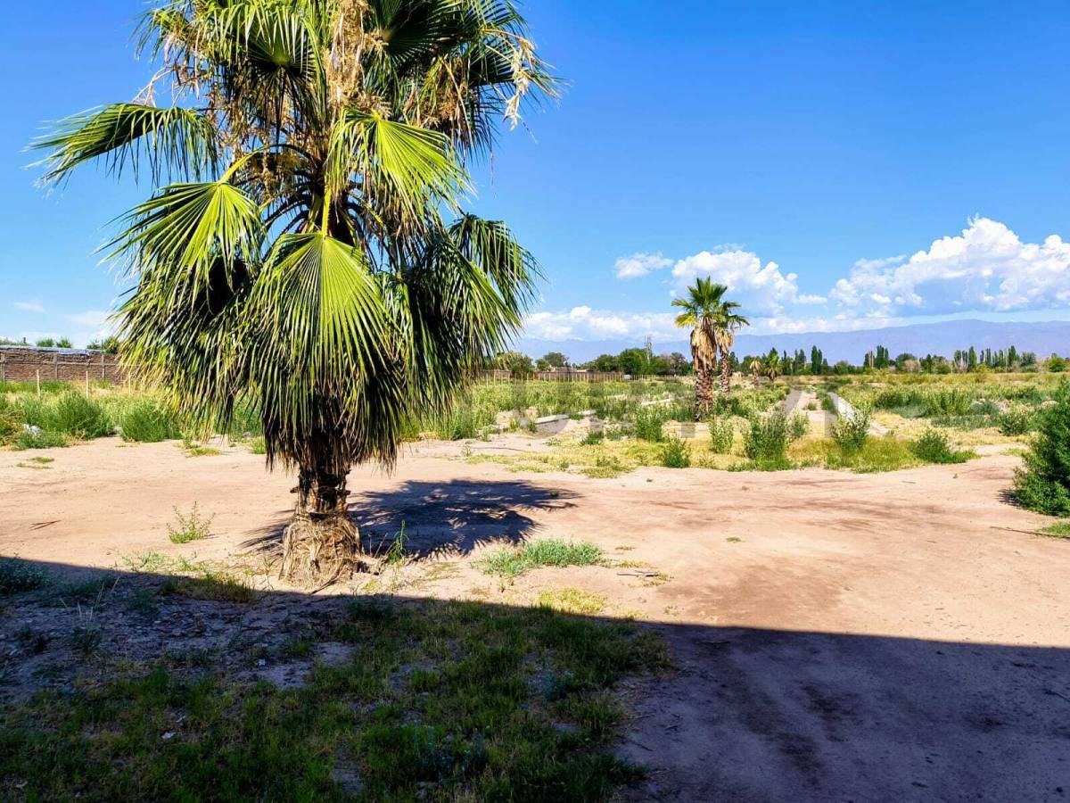 Terreno en Venta en Guaymallen, Mendoza