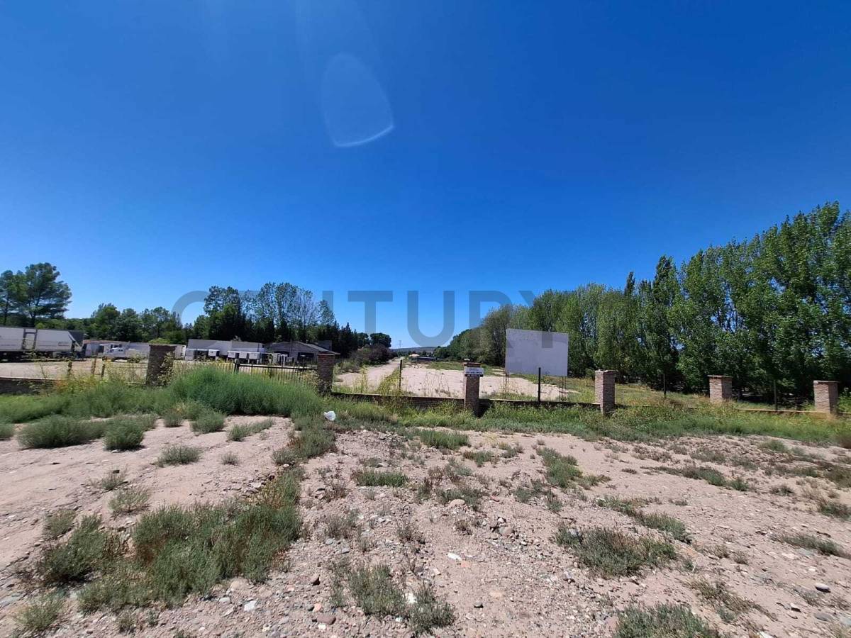 Terreno en Alquiler en Lujan de Cuyo, Mendoza