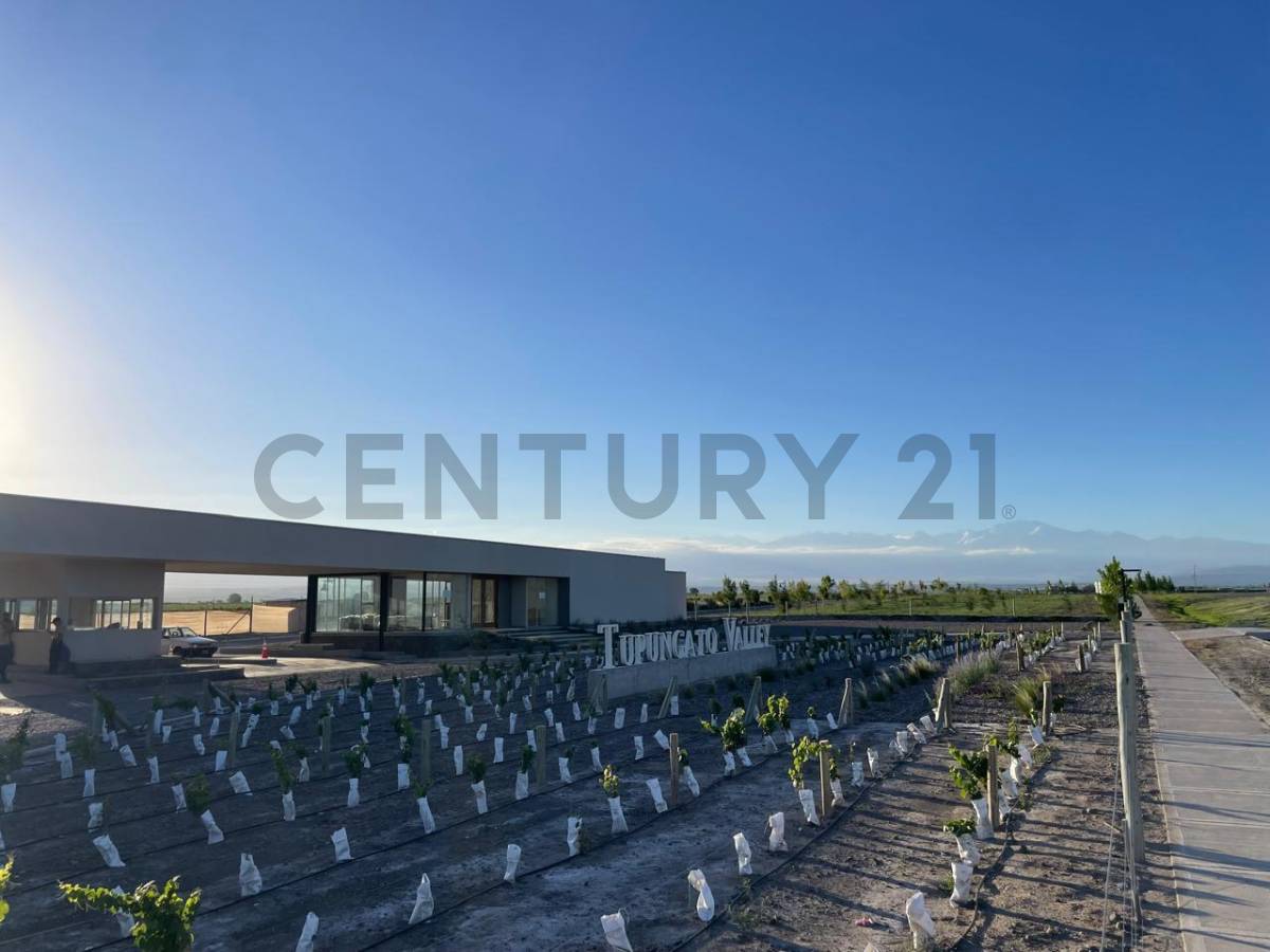 Terreno en Venta en Tupungato, Mendoza
