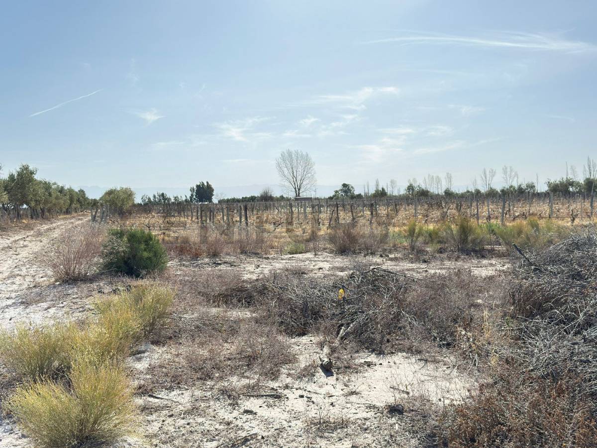 Terreno en Venta en Lavalle, Mendoza