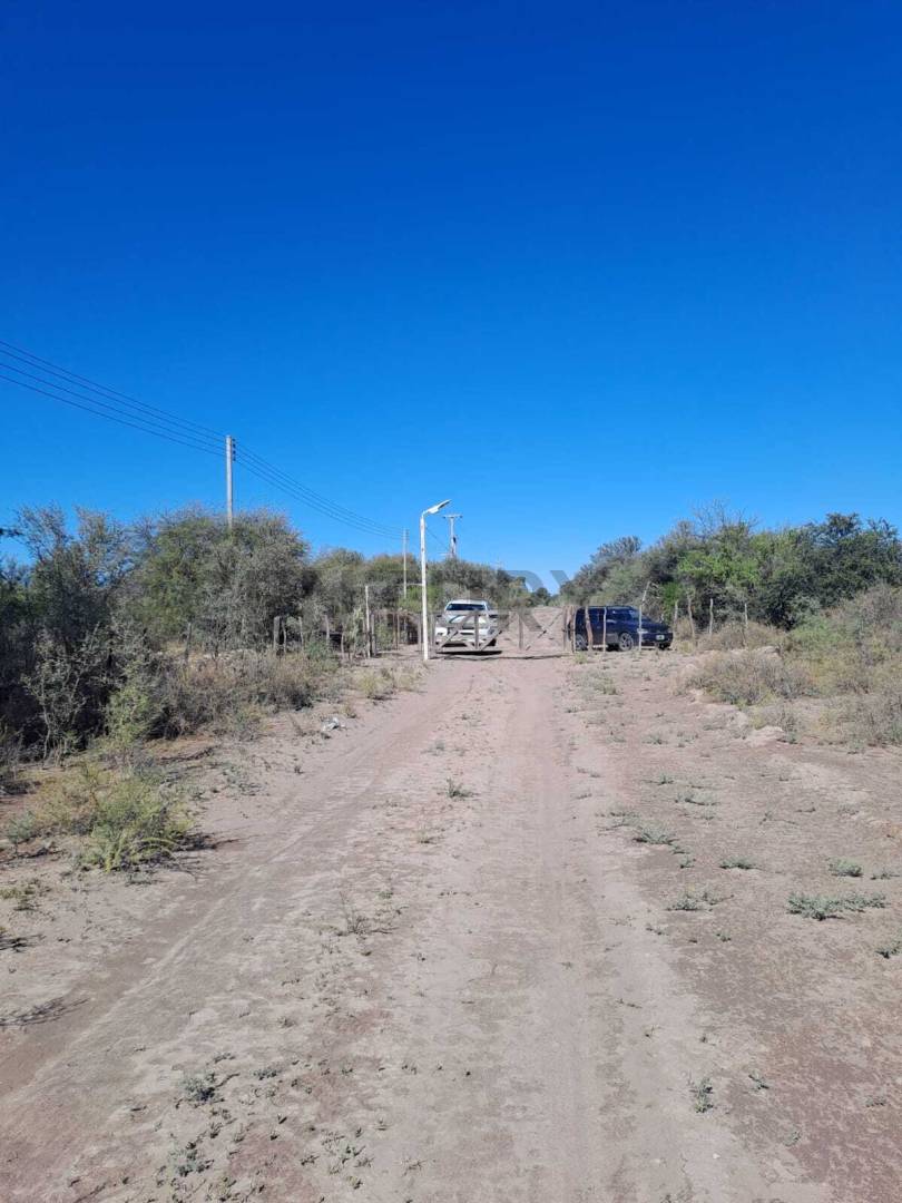 Campo en Venta en La Paz, Mendoza