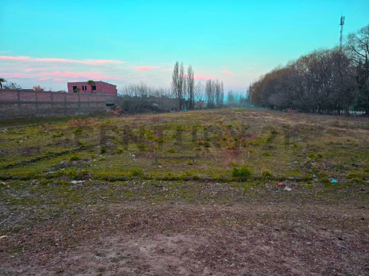 Terreno en Venta en Tupungato, Mendoza