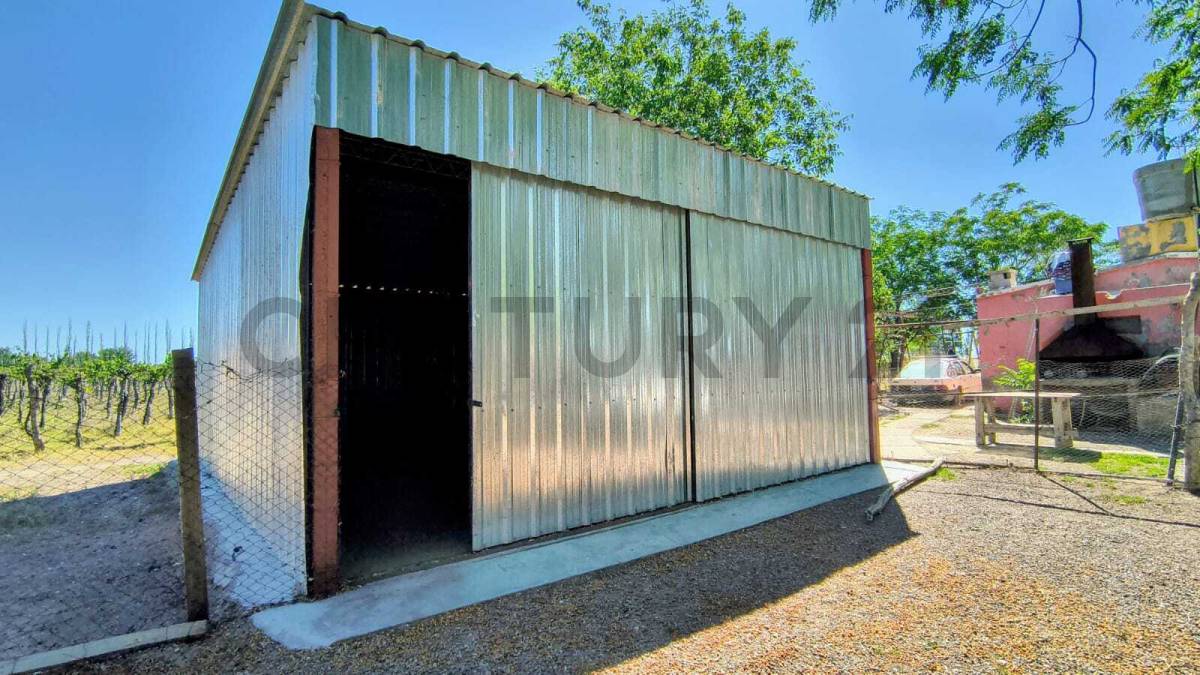 Campo en Venta en San Martin, Mendoza