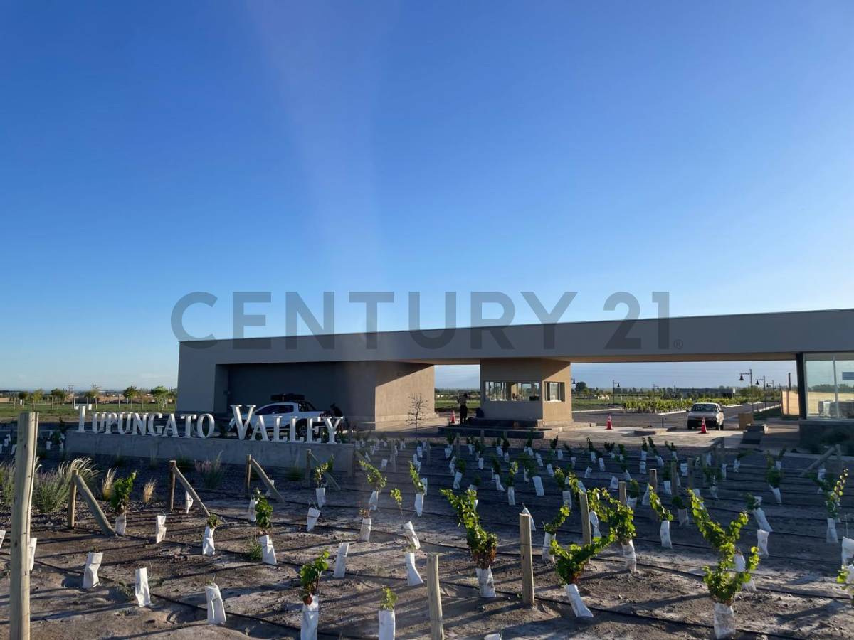 Terreno en Venta en Tupungato, Mendoza