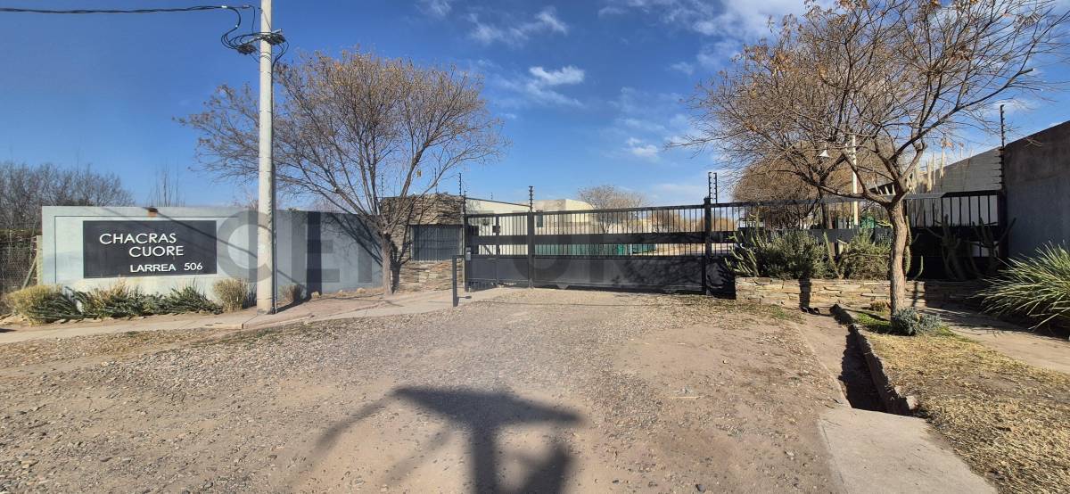 Terreno en Venta en Lujan de Cuyo, Mendoza