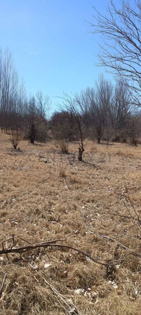 Terreno en Venta en Tunuyan, Mendoza