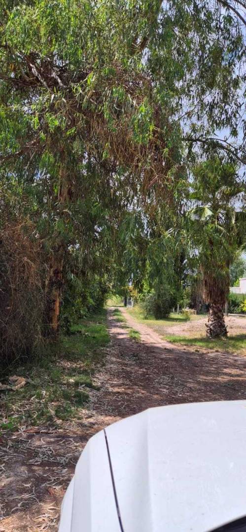 Terreno en Venta en Maipu, Mendoza