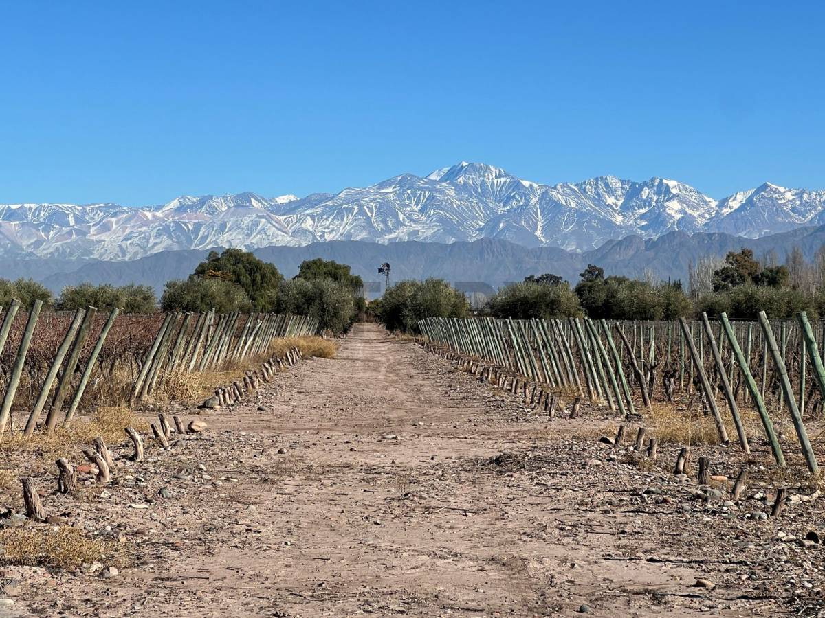Terreno en Venta en Maipu, Mendoza