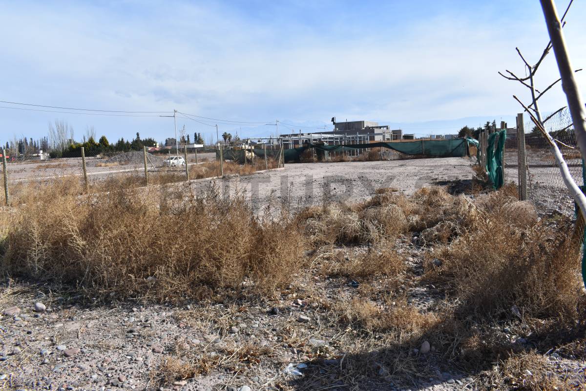 Terreno en Venta en Maipu, Mendoza