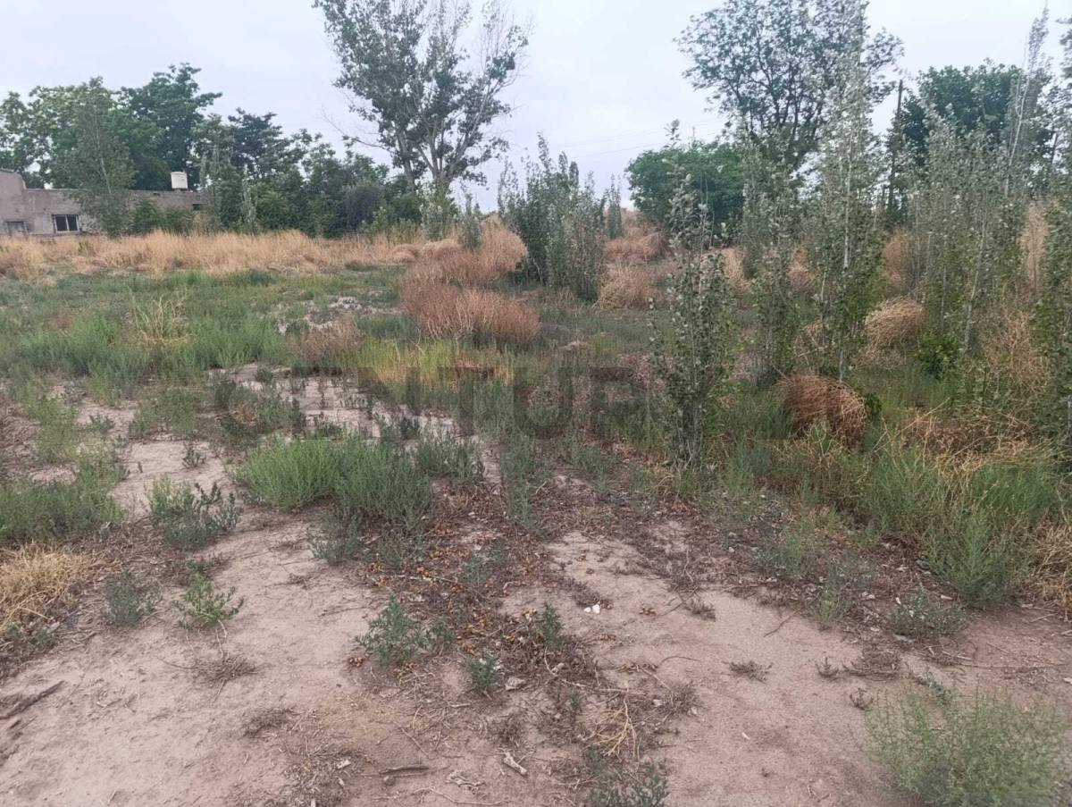 Terreno en Venta en San Martin, Mendoza