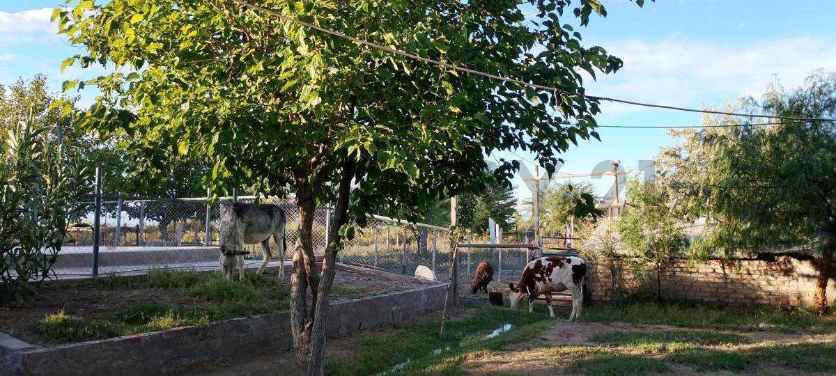 Casa Quinta en Venta en Lavalle, Mendoza