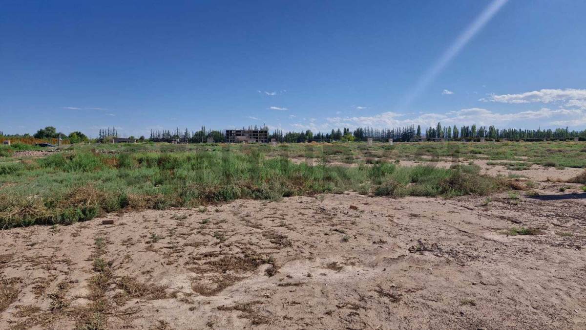 Terreno en Venta en Lujan de Cuyo, Mendoza