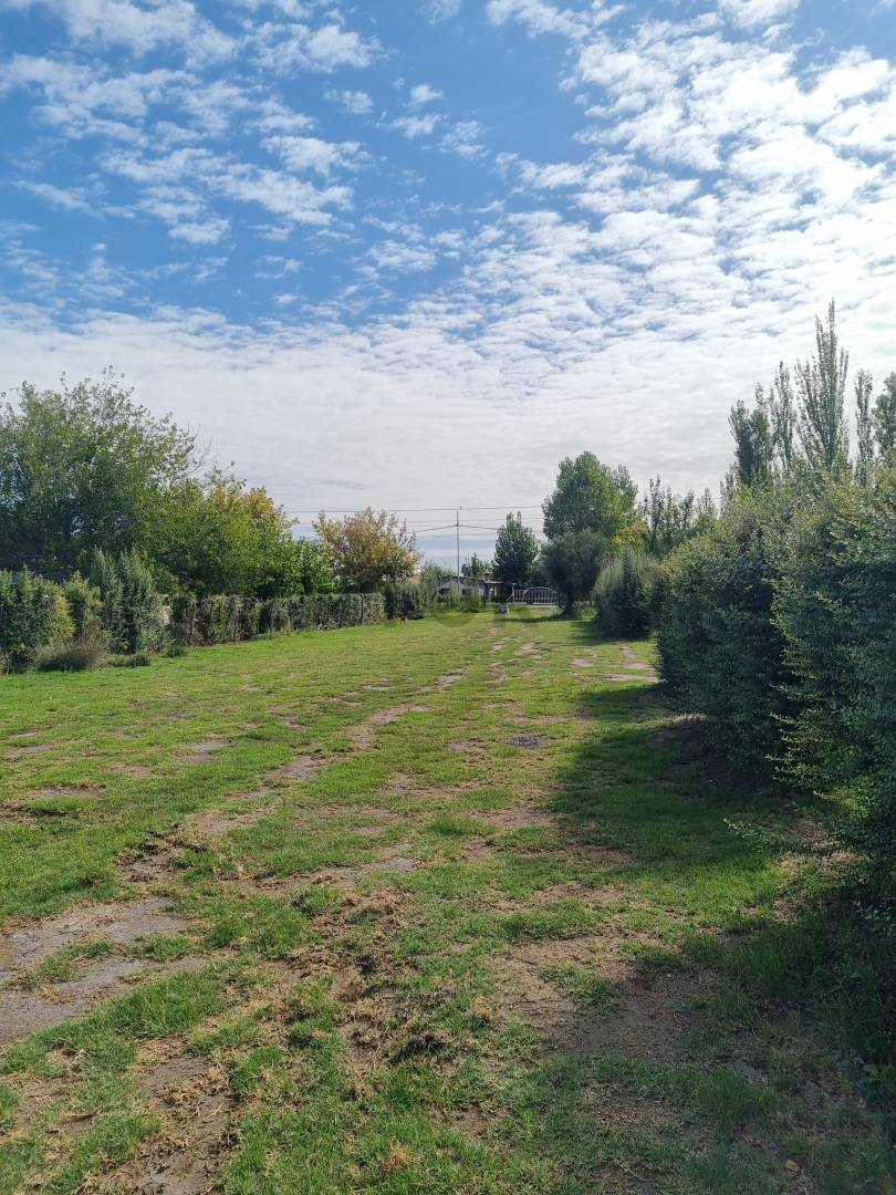 Terreno en Venta en San Rafael, Mendoza