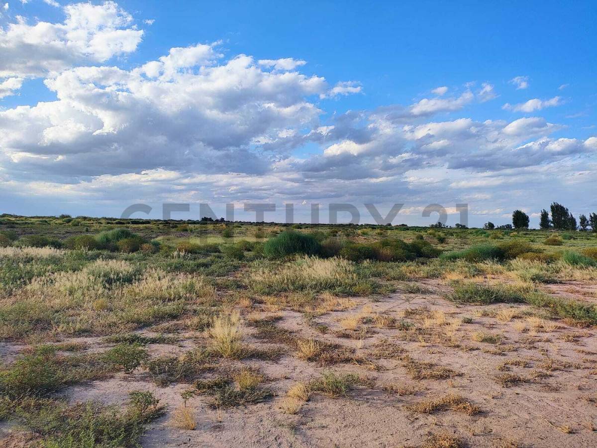 Terreno en Venta en Lavalle, Mendoza