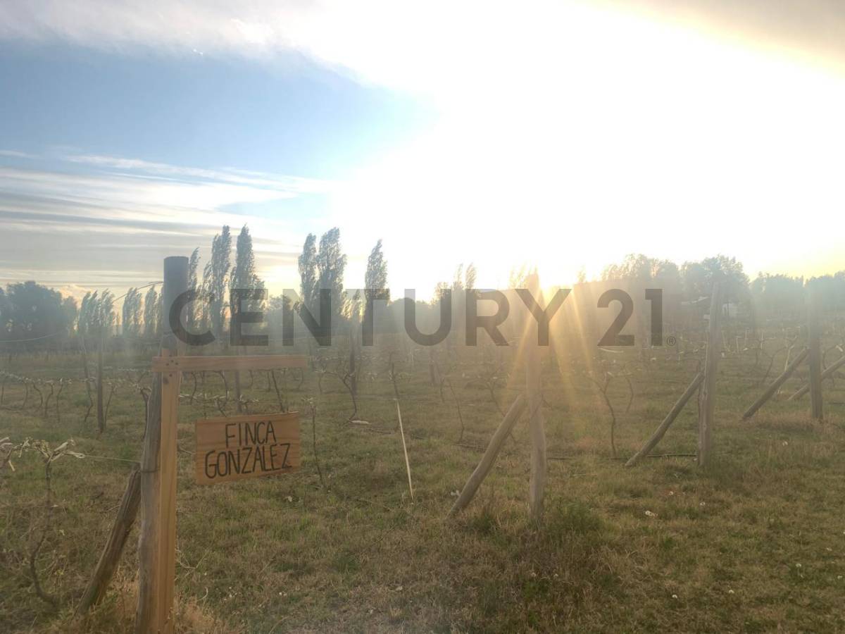 Terreno en Venta en San Rafael, Mendoza