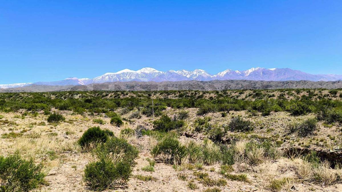 Terreno en Venta en Lujan de Cuyo, Mendoza