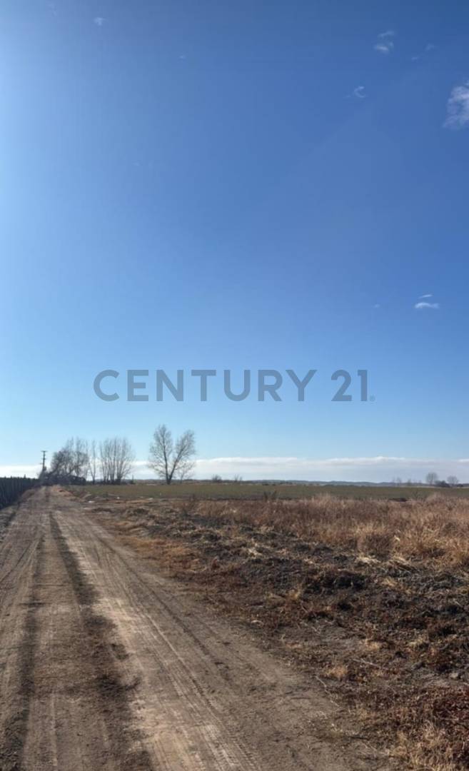 Casa Quinta en Venta en Tupungato, Mendoza