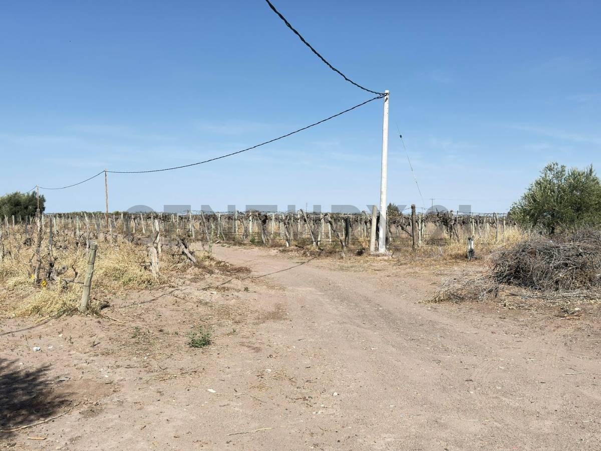 Terreno en Venta en Lavalle, Mendoza