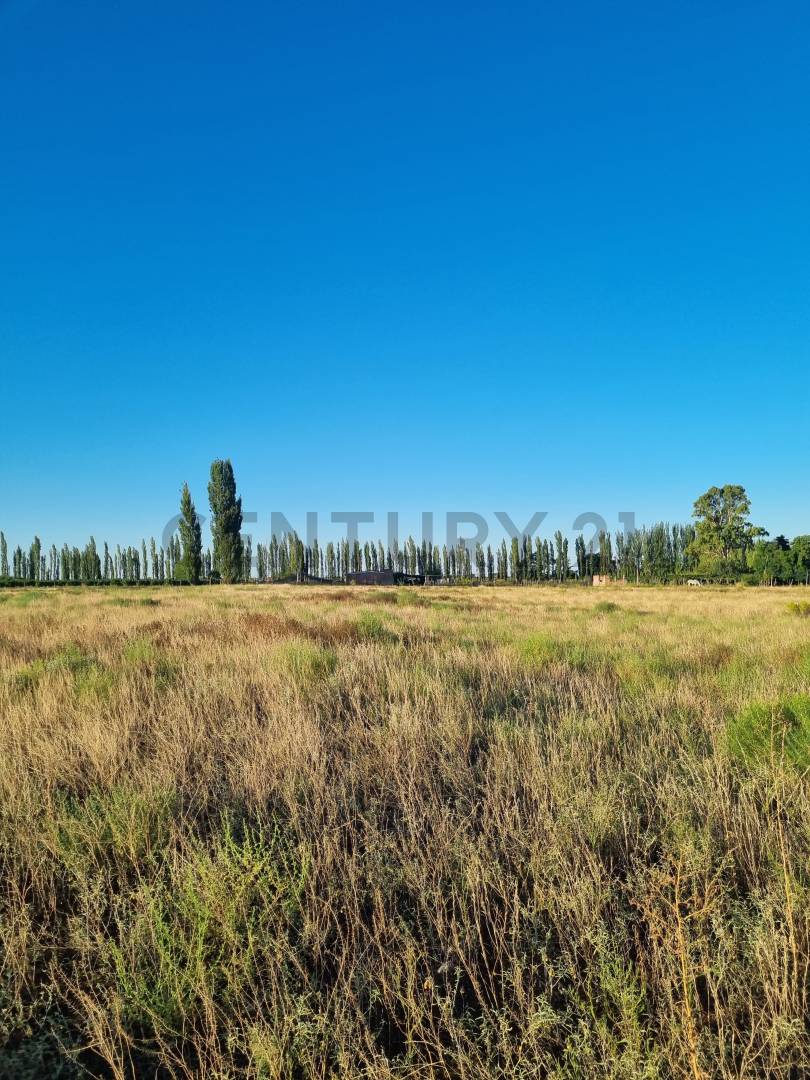 Casa Quinta en Venta en San Rafael, Mendoza