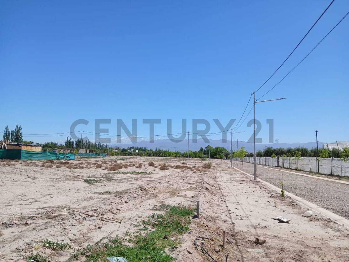 Terreno en Venta en Lujan de Cuyo, Mendoza