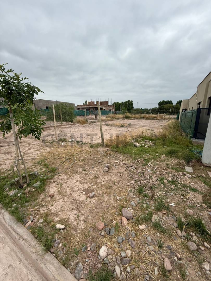 Terreno en Venta en Lujan de Cuyo, Mendoza