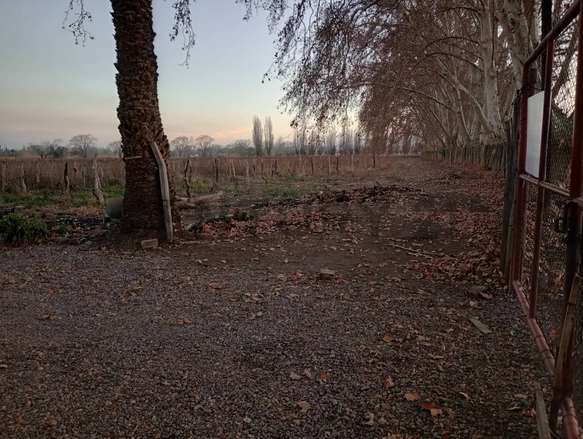 Terreno en Venta en Las Heras, Mendoza