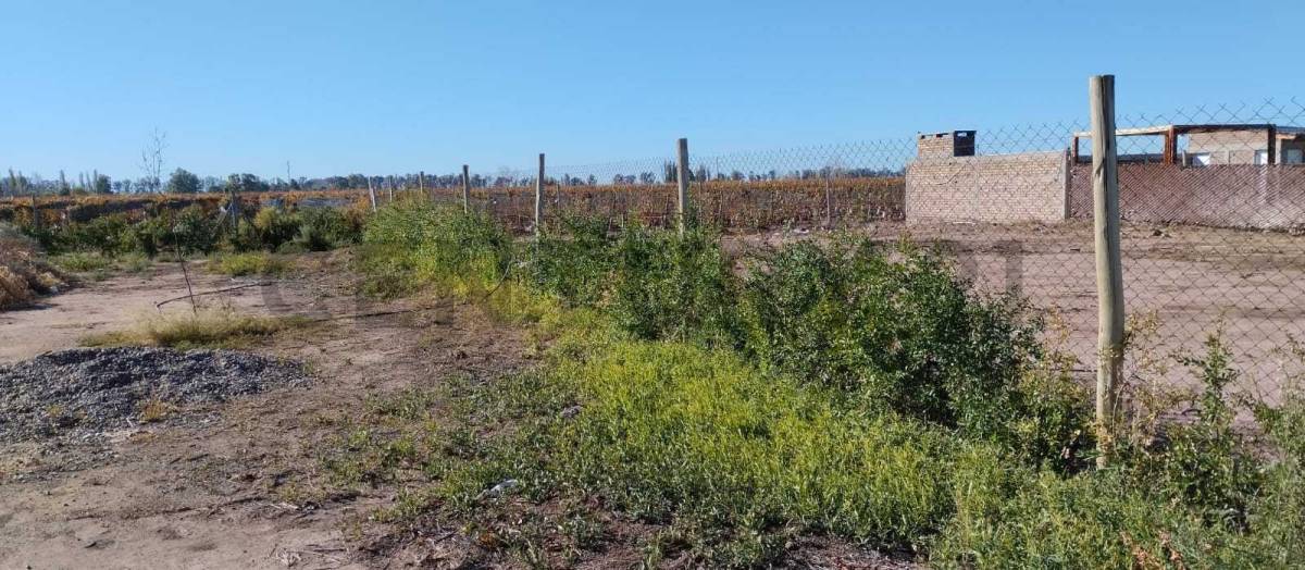 Terreno en Venta en Maipu, Mendoza