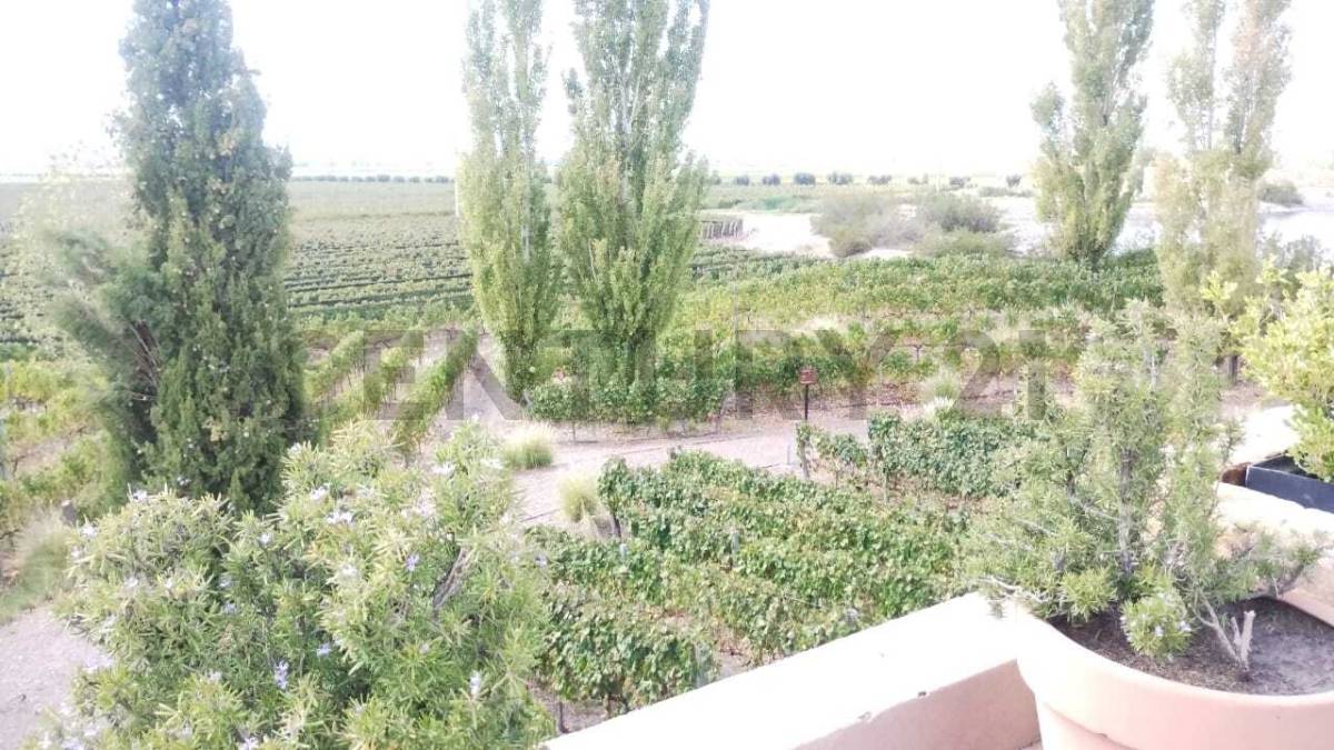 Terreno en Venta en Lujan de Cuyo, Mendoza