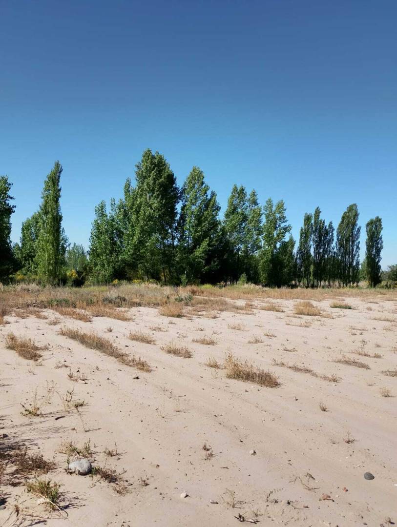 Terreno en Venta en Maipu, Mendoza