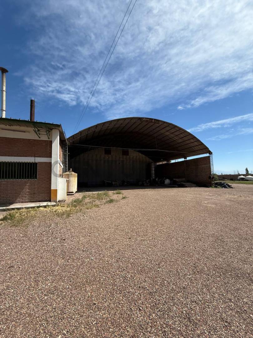 Galpon en Venta en Maipu, Mendoza