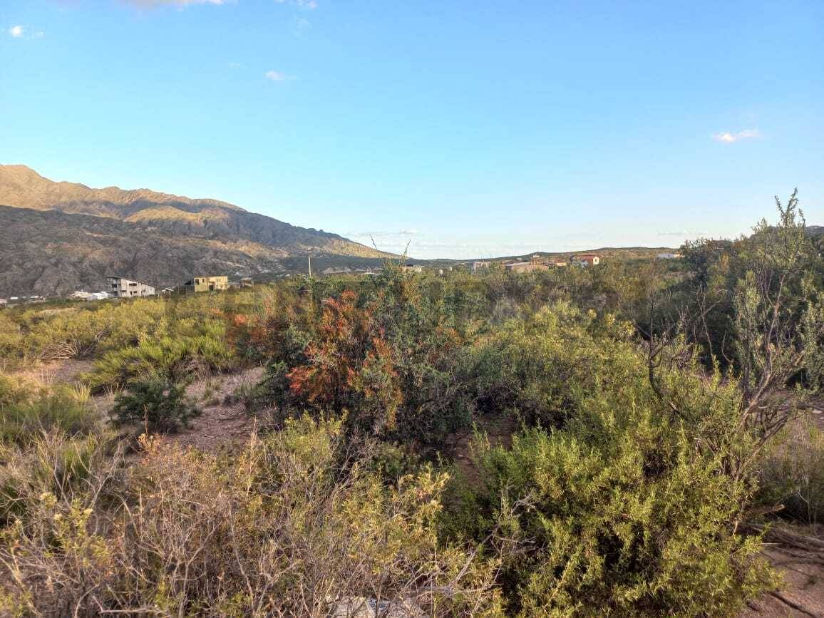 Terreno en Venta en Lujan de Cuyo, Mendoza