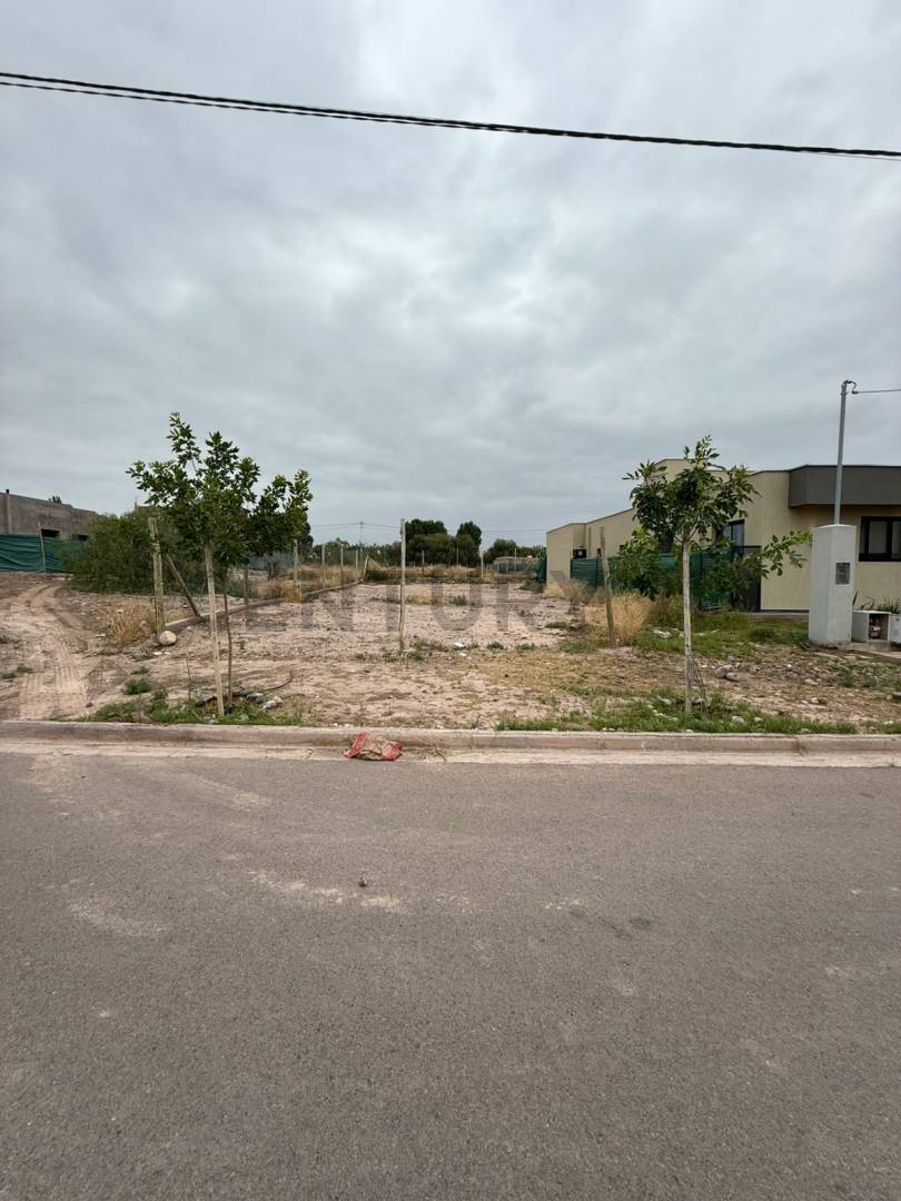 Terreno en Venta en Lujan de Cuyo, Mendoza